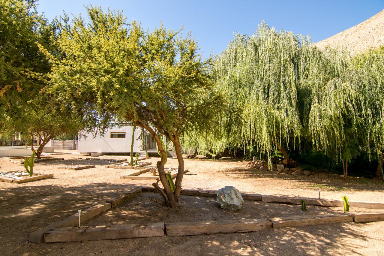 Aldea Del Valle - Elqui Villas, Pisco Elqui Exterior foto