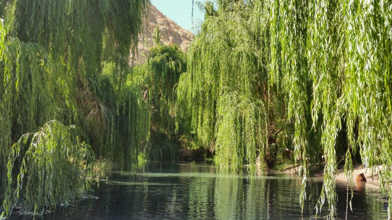 Aldea Del Valle - Elqui Villas, Pisco Elqui Exterior foto